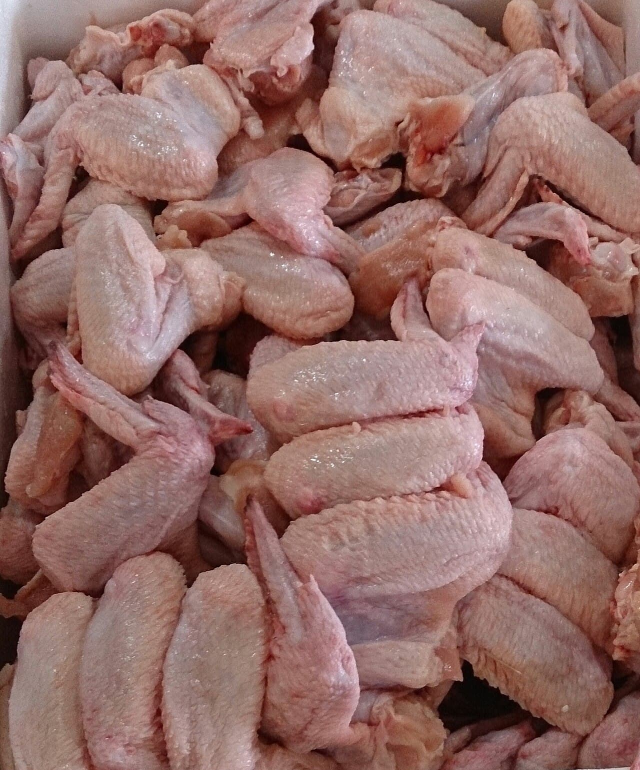 Tavuk Kanat