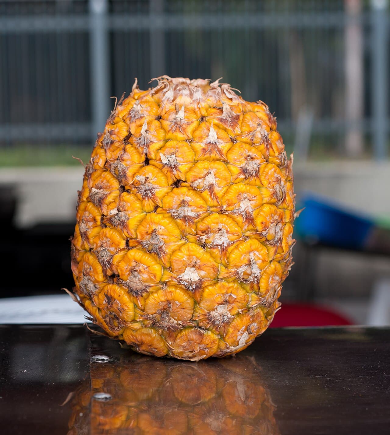 Ananas